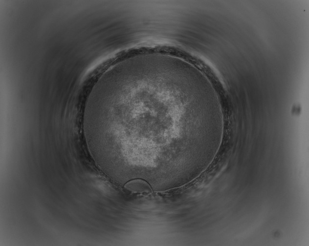X0000102540919200808081518