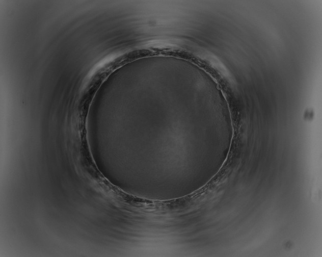 X0000102540920200808081518
