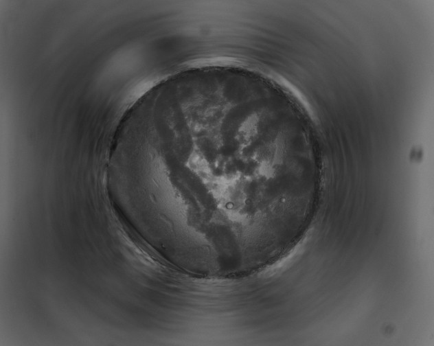 X0000102540921200808081518