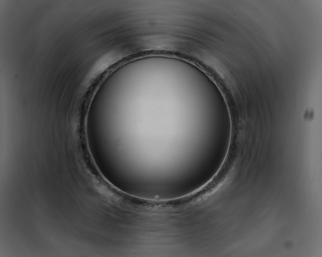 X0000102540922200808081518