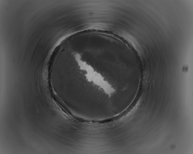 X0000102540923200808081518