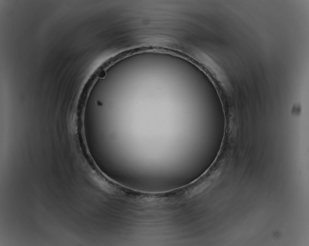 X0000102540924200808081518