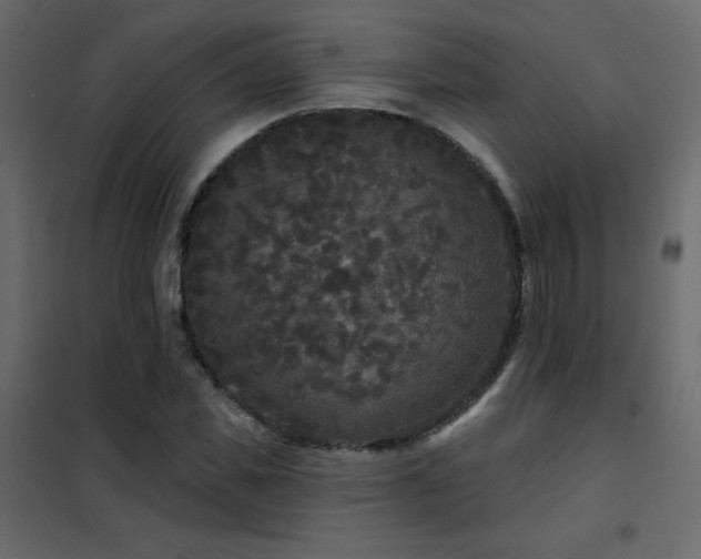 X0000102540925200808081518