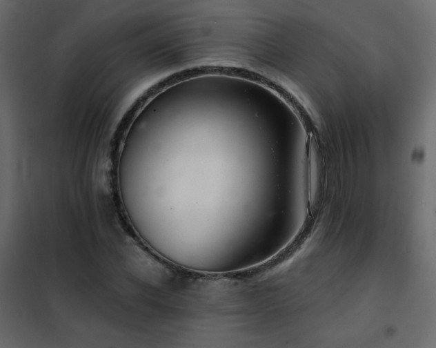 X0000102540926200808081518