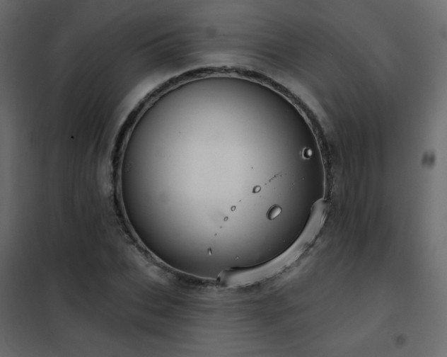 X0000102540927200808081518