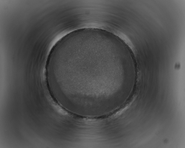 X0000102540928200808081518