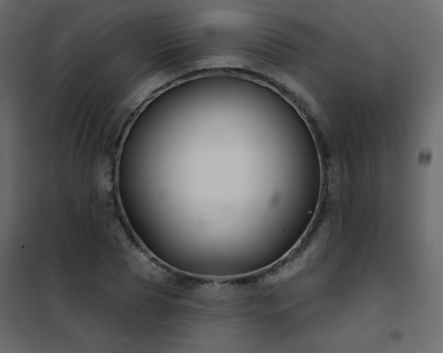 X0000102540929200808081518