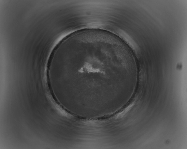 X0000102540932200808081518