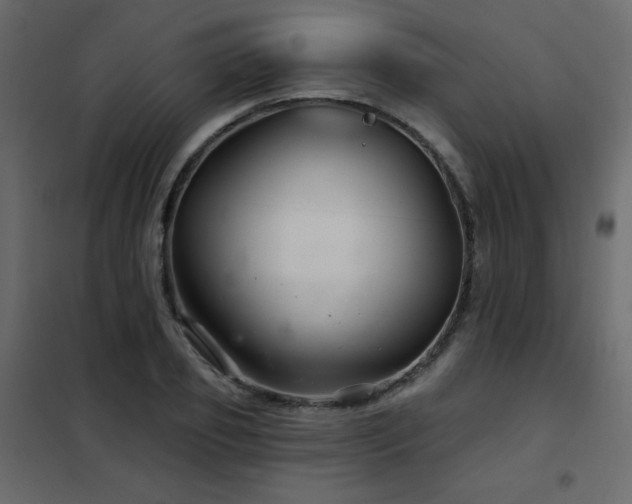 X0000102540933200808081518