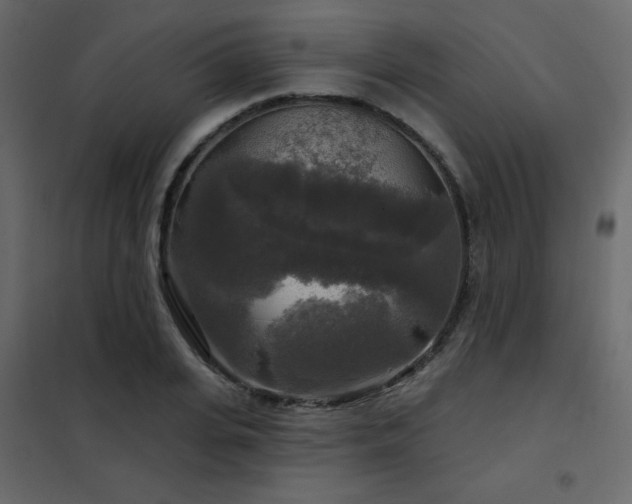 X0000102540935200808081518