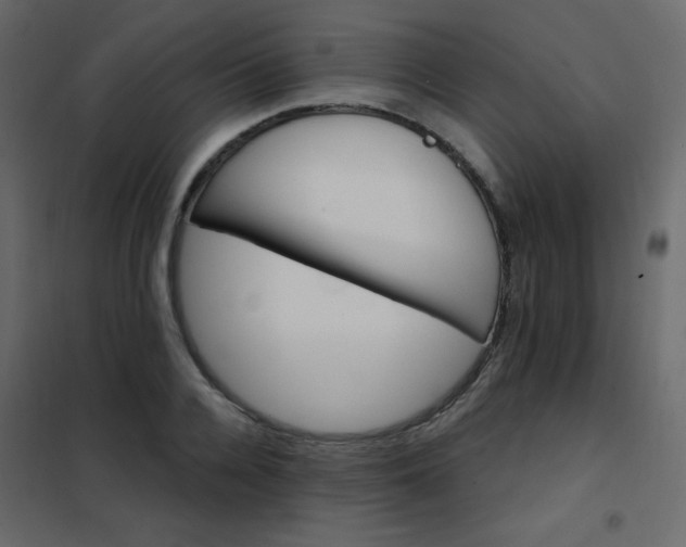X0000102540936200808081518
