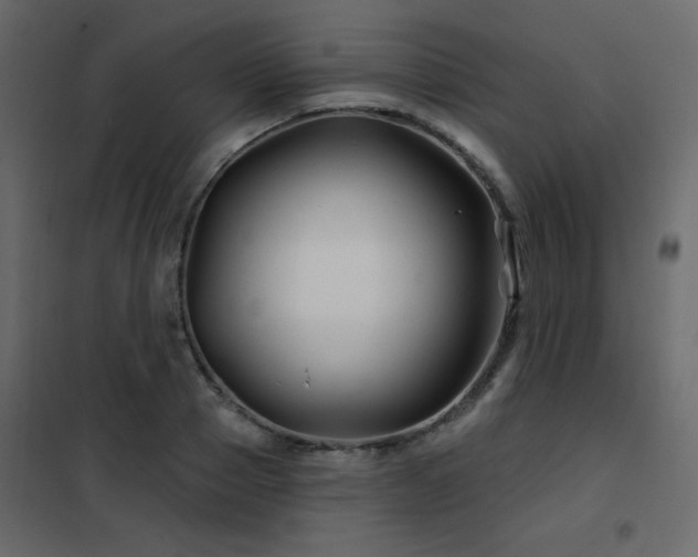 X0000102540937200808081518