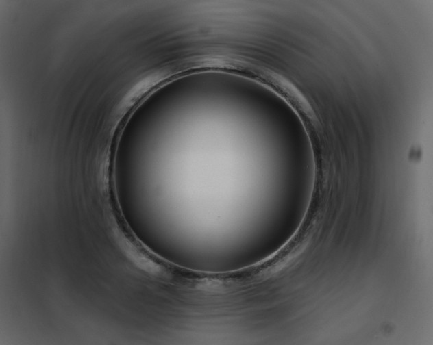 X0000102540938200808081518