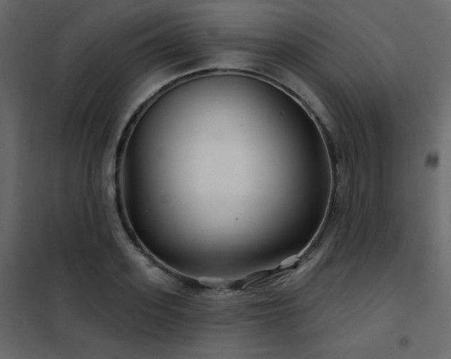 X0000102540939200808081518