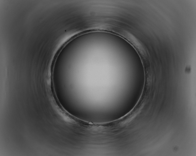 X0000102540940200808081518