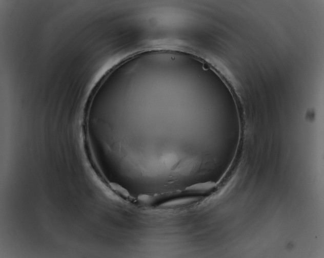 X0000102540941200808081518