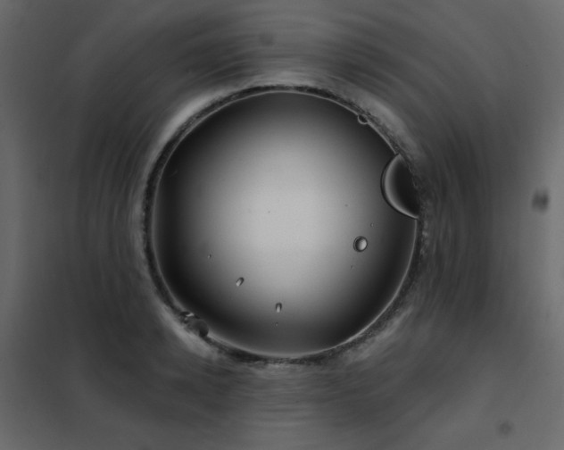 X0000102540942200808081518