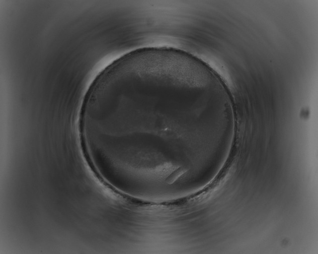 X0000102540943200808081518