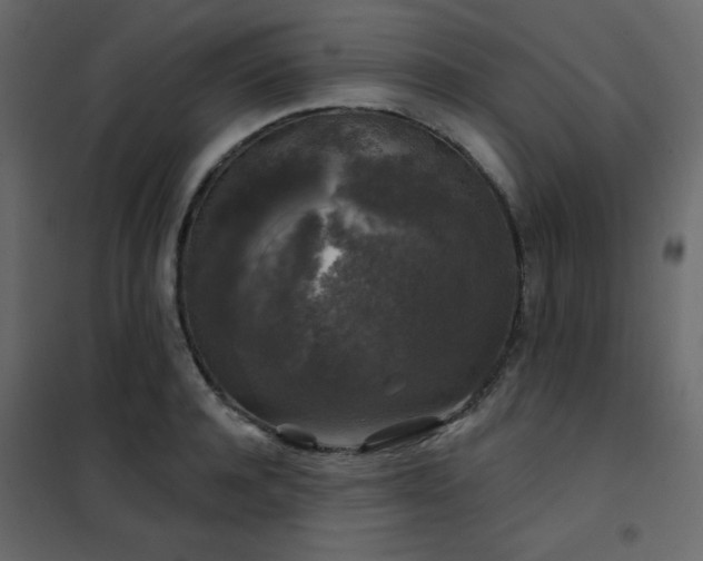 X0000102540944200808081518