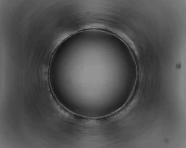 X0000102540945200808081518