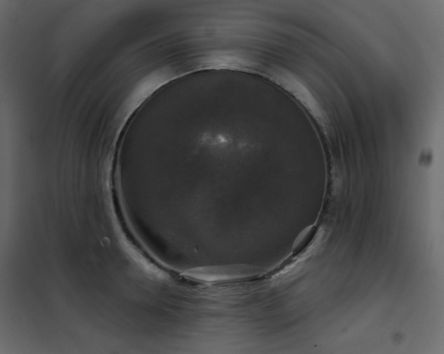 X0000102540946200808081518
