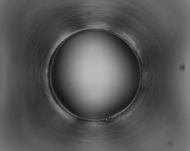 X0000102540947200808081518