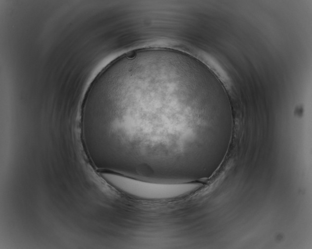 X0000102540948200808081518