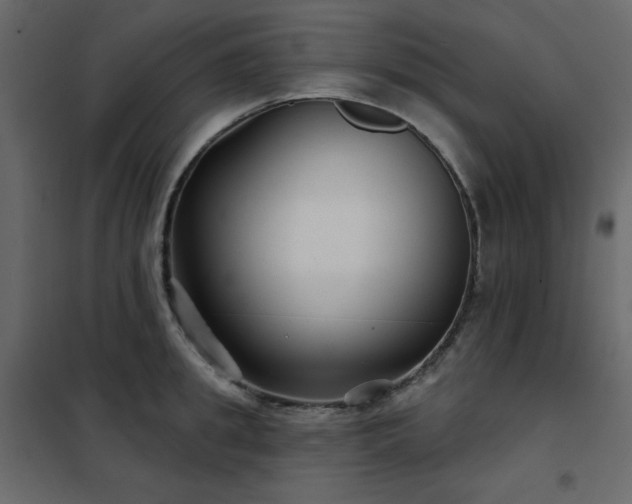 X0000102540949200808081518