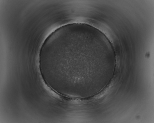 X0000102540950200808081518