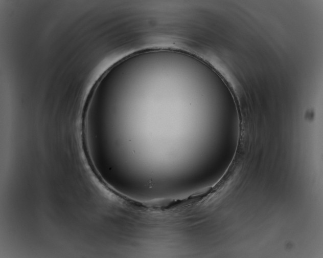 X0000102540951200808081518