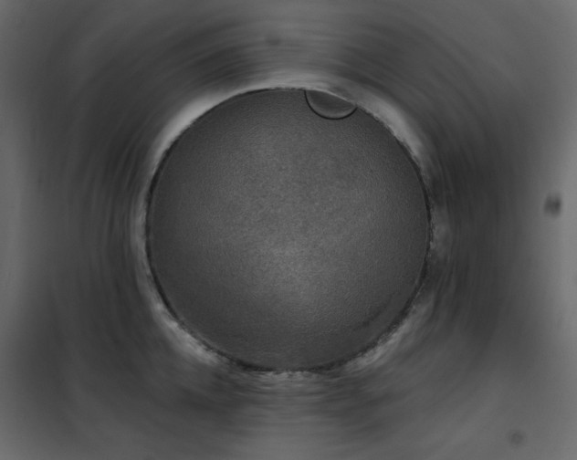 X0000102540952200808081518