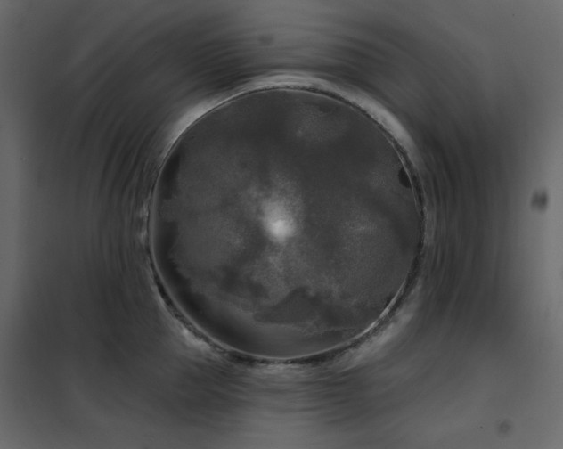 X0000102540953200808081518