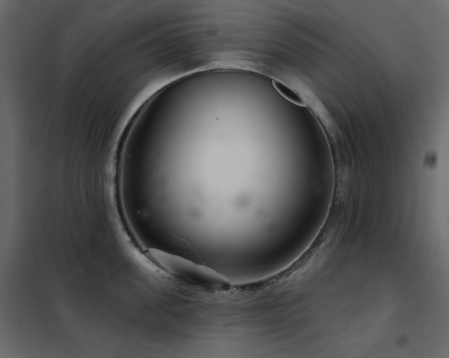X0000102540955200808081518