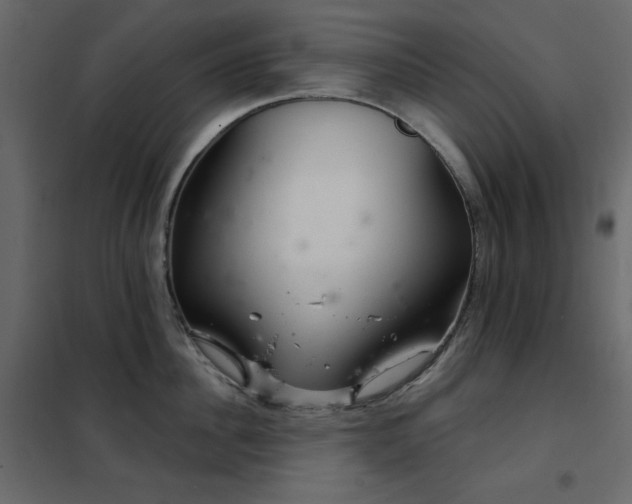 X0000102540956200808081518