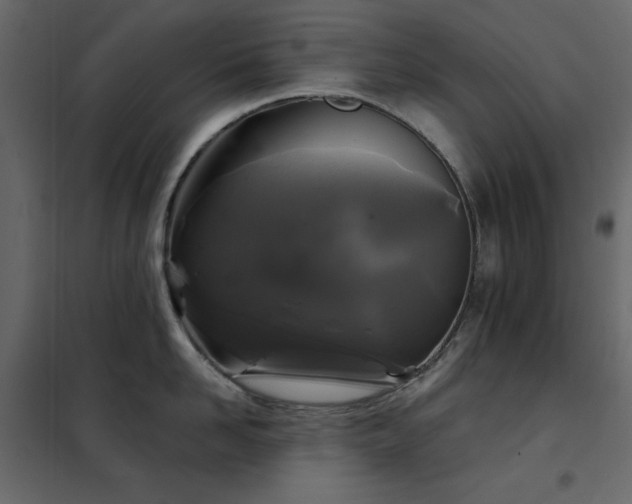 X0000102540958200808081518