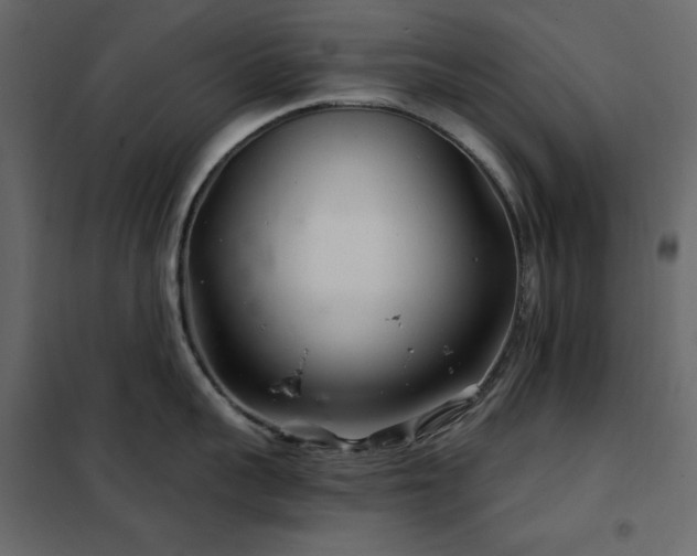X0000102540959200808081518
