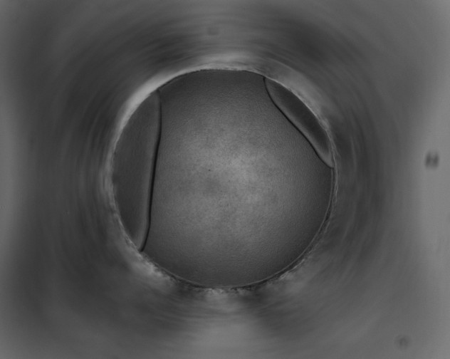 X0000102540960200808081518