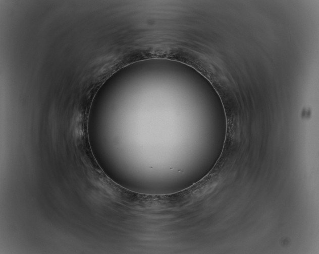X0000102540962200808081517