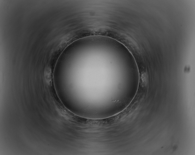 X0000102540963200808081517