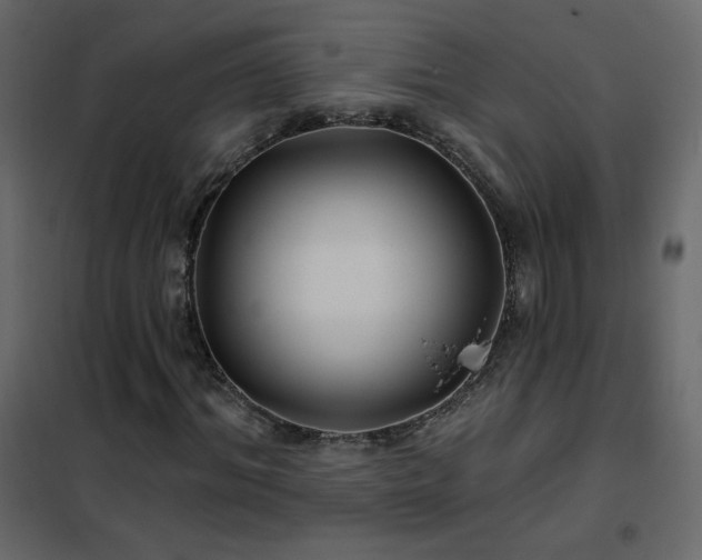X0000102540964200808081517