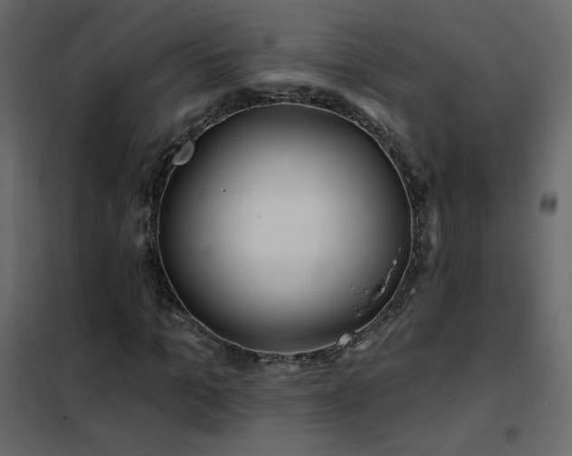 X0000102540965200808081517