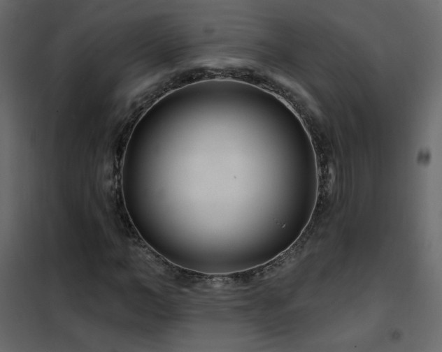 X0000102540966200808081517
