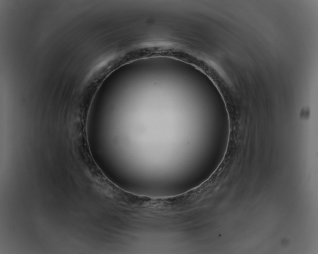 X0000102540967200808081517
