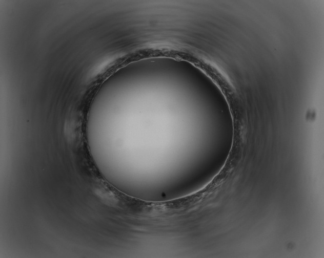 X0000102540968200808081517