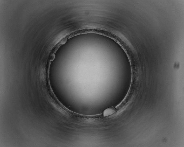 X0000102540969200808081517