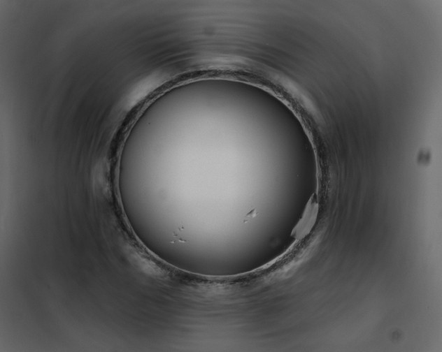 X0000102540970200808081517
