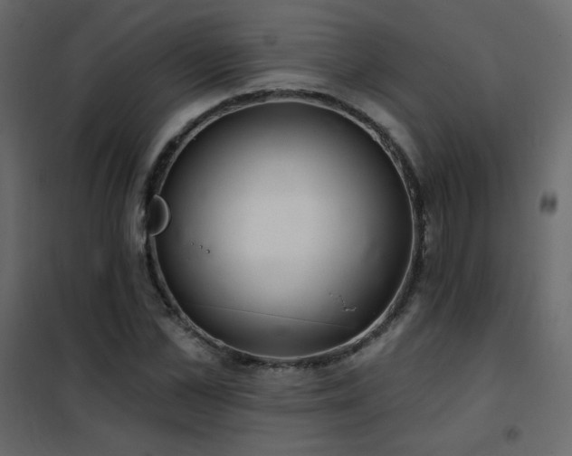 X0000102540973200808081517