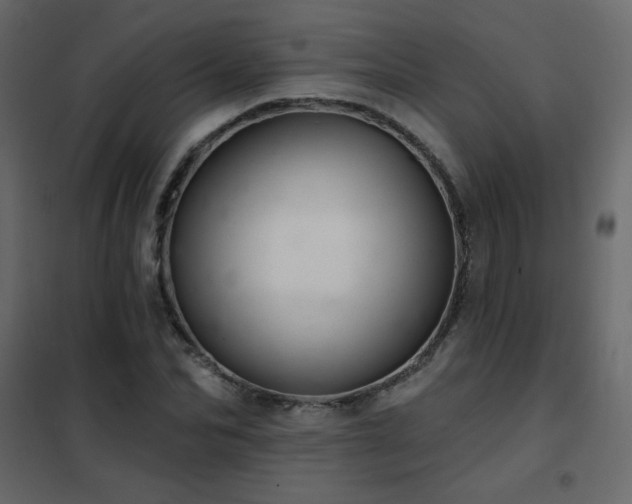 X0000102540974200808081517