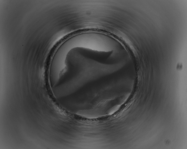 X0000102540975200808081517