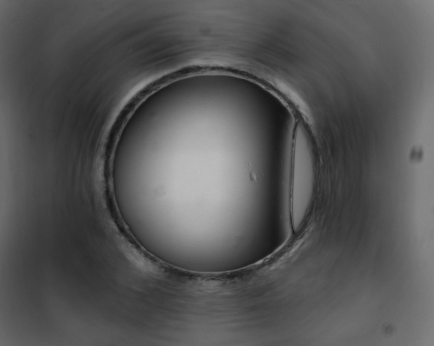 X0000102540976200808081517